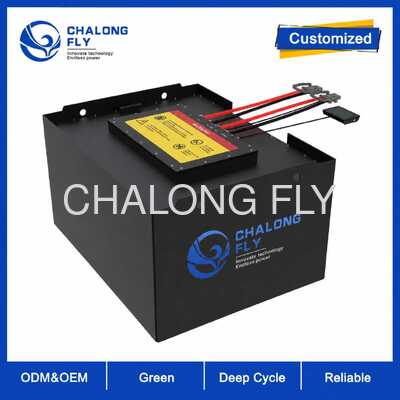 Custom 51.2V LiFePO4 Forklift Battery 304Ah 412Ah 560Ah with Smart BMS