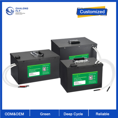 OEM ODM LiFePO4 Литийные аккумуляторы AGV Автоматизированные управляемые транспортные средства Система 24v 80v