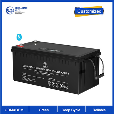 Батарея лития батареи лития 12V ODM LiFePO4 OEM 200Ah подгоняла блоки батарей лития батареи