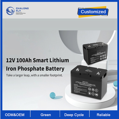 OEM ODM LiFePO4 литийная батарея 12V 100Ah Литийная батарея Умный глубокий цикл