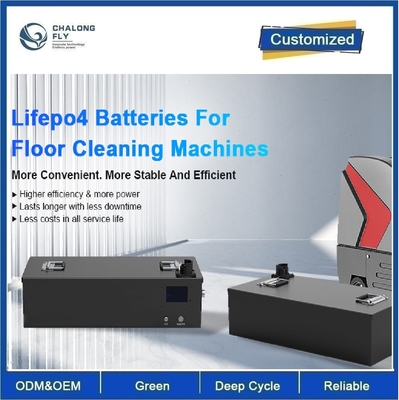 CLF OEM ODM 24V 36V 48V LiFePO4 Литий железный аккумуляторные пакеты Машины для уборки пола Автомобили для гольфа с зарядным устройством BMS