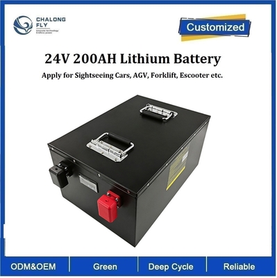 CLF OEM Литий-железный фосфат перезаряжаемый аккумулятор LiFePO4 100Ah 200Ah 300Ah 400Ah 12V 24V для RV Camper Boat Cars