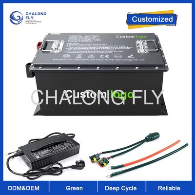 OEM ODM LiFePO4 MAX BMS 200A Аккумулятор для гольф-коляски Электрические литий-ионные аккумуляторы высокая емкость 51.2v 105ah