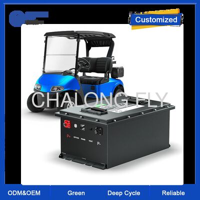 48V 100Ah Литиевая батарея для гольф-каров с Bluetooth и 4000 циклами LiFePO4 для электрических гольф-каров