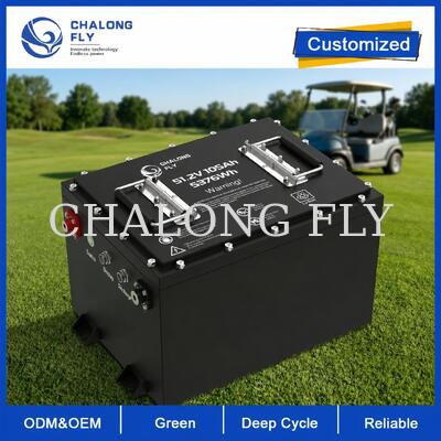 51.2V 105Ah LiFePO4 аккумулятор для гольф-коляски с емкостью 5376Wh и Smart BMS для преобразования свинца в кислоту 48V