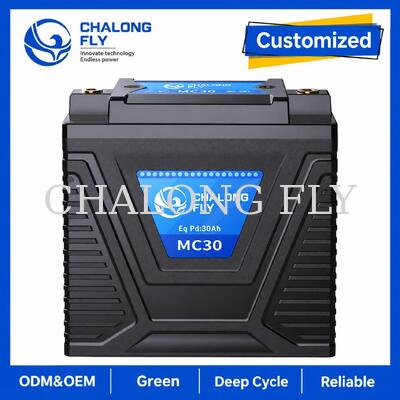 12.8V 10Ah LiFePO4 Мотоциклетная стартерная батарея 600A для замены свинцово-кислотной батареи 15 30Ah