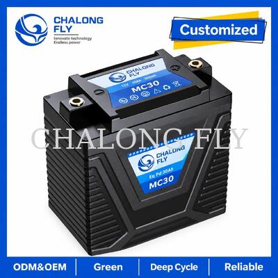 12.8V 5Ah LiFePO4 аккумулятор для мотоцикла, стартерный, 300А, замена свинцово-кислотных аккумуляторов на 8–14 Ач